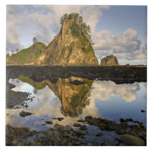 VS, Washington, Olympic National Park. A Tegeltje