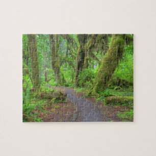 VS, Washington, Olympic National Park, Hoh Rain Legpuzzel