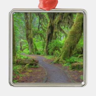 VS, Washington, Olympic National Park, Hoh-regenwo Metalen Ornament