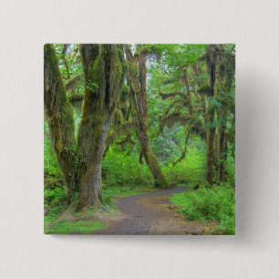 VS, Washington, Olympic National Park, Hoh Vierkante Button 5,1 Cm
