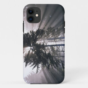 VS, Washington, Olympic National Park, Ochtend iPhone 11 Hoesje