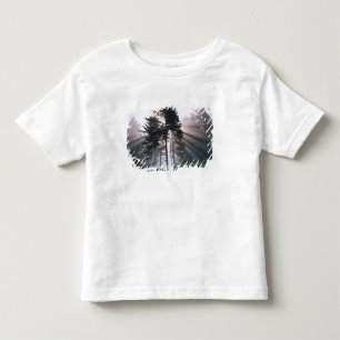 VS, Washington, Olympic National Park, Ochtend Kinder Shirts