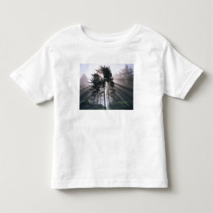 VS, Washington, Olympic National Park, Ochtend Kinder Shirts