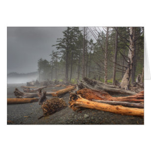 VS, Washington, Olympic National Park, Rialto