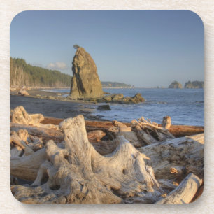 VS, Washington, Olympic National Park, Rialto Bier Onderzetter