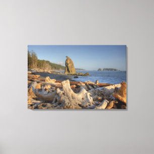 VS, Washington, Olympic National Park, Rialto Canvas Afdruk
