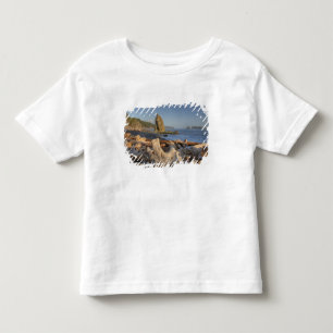 VS, Washington, Olympic National Park, Rialto Kinder Shirts