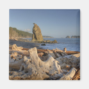 VS, Washington, Olympic National Park, Rialto Magneet