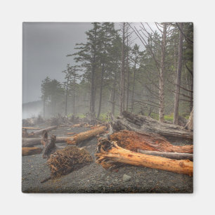 VS, Washington, Olympic National Park, Rialto Magneet