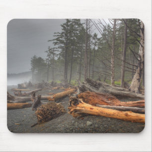 VS, Washington, Olympic National Park, Rialto Muismat
