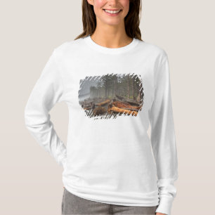 VS, Washington, Olympic National Park, Rialto T-shirt