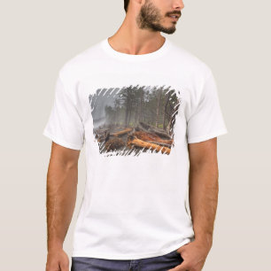 VS, Washington, Olympic National Park, Rialto T-shirt