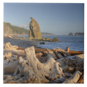 VS, Washington, Olympic National Park, Rialto Tegeltje