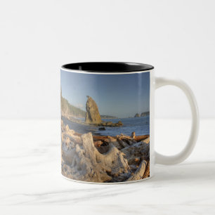 VS, Washington, Olympic National Park, Rialto Tweekleurige Koffiemok