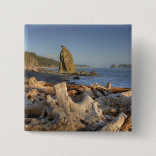 VS, Washington, Olympic National Park, Rialto Vierkante Button 5,1 Cm