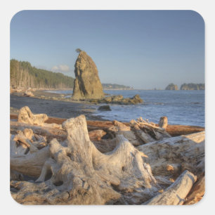 VS, Washington, Olympic National Park, Rialto Vierkante Sticker