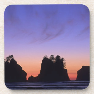 VS, Washington, Olympic National Park, Shi-shi Bier Onderzetter