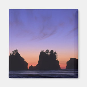 VS, Washington, Olympic National Park, Shi-shi Magneet