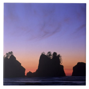 VS, Washington, Olympic National Park, Shi-shi Tegeltje