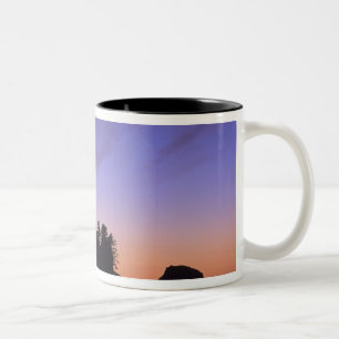 VS, Washington, Olympic National Park, Shi-shi Tweekleurige Koffiemok