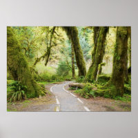 VS, Washington, Olympic National Park, Wandelen