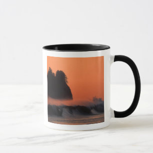 VS, Washington, Olympic National Park, Zee Mok