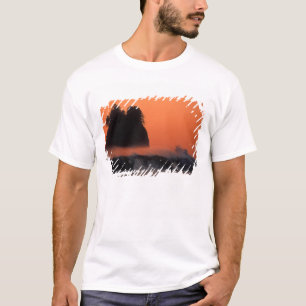 VS, Washington, Olympic National Park, Zee T-shirt
