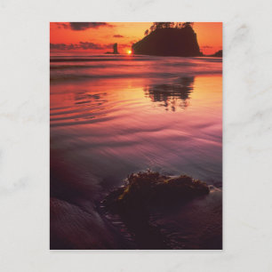 VS, Washington, Olympic National Park. Zonsonderga Briefkaart