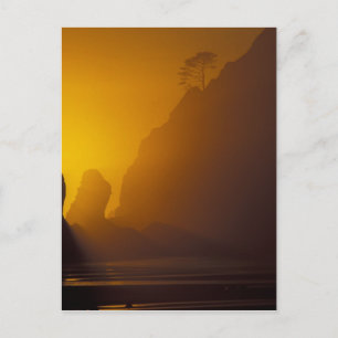 VS, Washington, Olympic Nat'l Park, Zonsondergang, Briefkaart