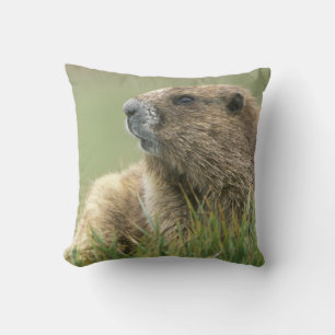 VS, Washington, Olympic NP, Olympische marmot Kussen