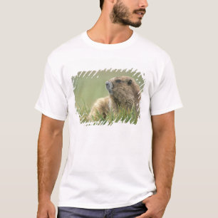 VS, Washington, Olympic NP, Olympische marmot T-shirt