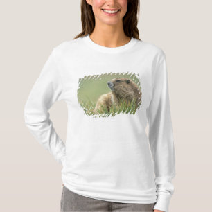 VS, Washington, Olympic NP, Olympische marmot T-shirt