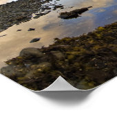 VS, Washington, Olympisch Nationaal Park. A Poster (Hoek)