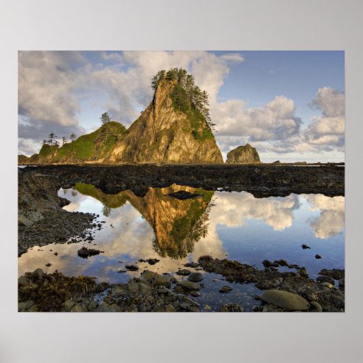 VS, Washington, Olympisch Nationaal Park. A Poster (Voorkant)