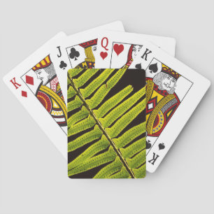 VS, Washington, Olympisch Nationaal Park, met acht Pokerkaarten