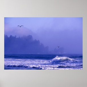 VS, Washington, Olympisch Nationaal Park. Mist Poster