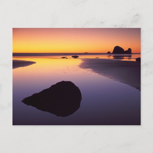 VS, Washington, Olympisch schiereiland Briefkaart (Voorkant)