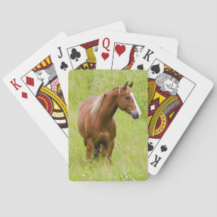 VS, Washington, Paard in voorjaarsveld, Speelkaarten