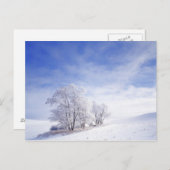 VS, Washington, Palouse Area, Frosted Black Briefkaart (Voorkant / Achterkant)