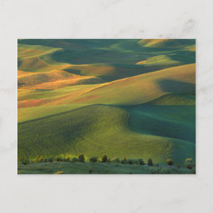 VS, Washington, Palouse, Whitman County Briefkaart
