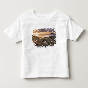 VS, Washington, San Juan-eilanden.  Een dramatisch Kinder Shirts