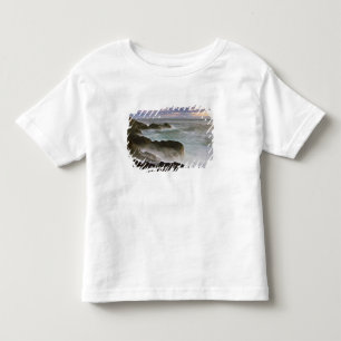 VS, Washington, San Juan-eilanden. Golven slaan Kinder Shirts