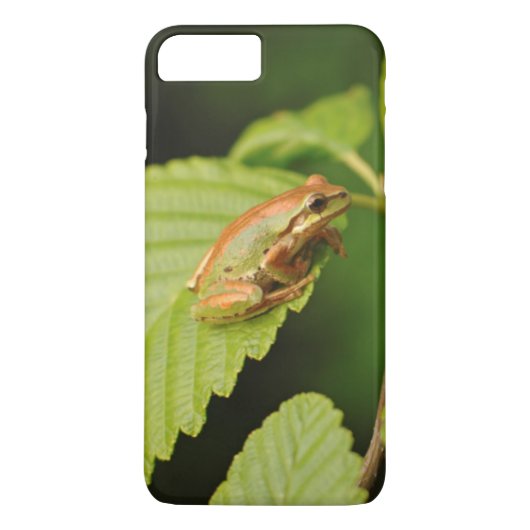 VS, Washington, Seattle, Discovery Park Case-Mate iPhone Case (Achterkant)