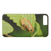 VS, Washington, Seattle, Discovery Park Case-Mate iPhone Case (Achterkant (Horizontaal))