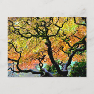 VS, Washington, Seattle, Kubota Garden. Briefkaart