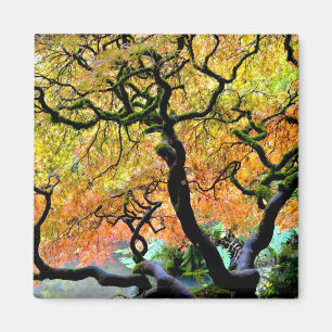 VS, Washington, Seattle, Kubota Garden. Magneet