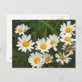 VS, Washington, Seattle, Puget Sound 3 Briefkaart (Voorkant / Achterkant)