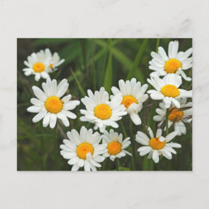 VS, Washington, Seattle, Puget Sound 3 Briefkaart