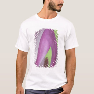 VS, Washington. Sluiting van magnolia blossom. T-shirt