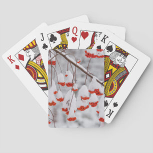 VS, Washington, Spokane County Pokerkaarten